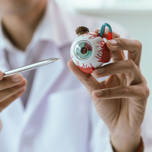 Contact Niagara Eye Associates in Erie, PA