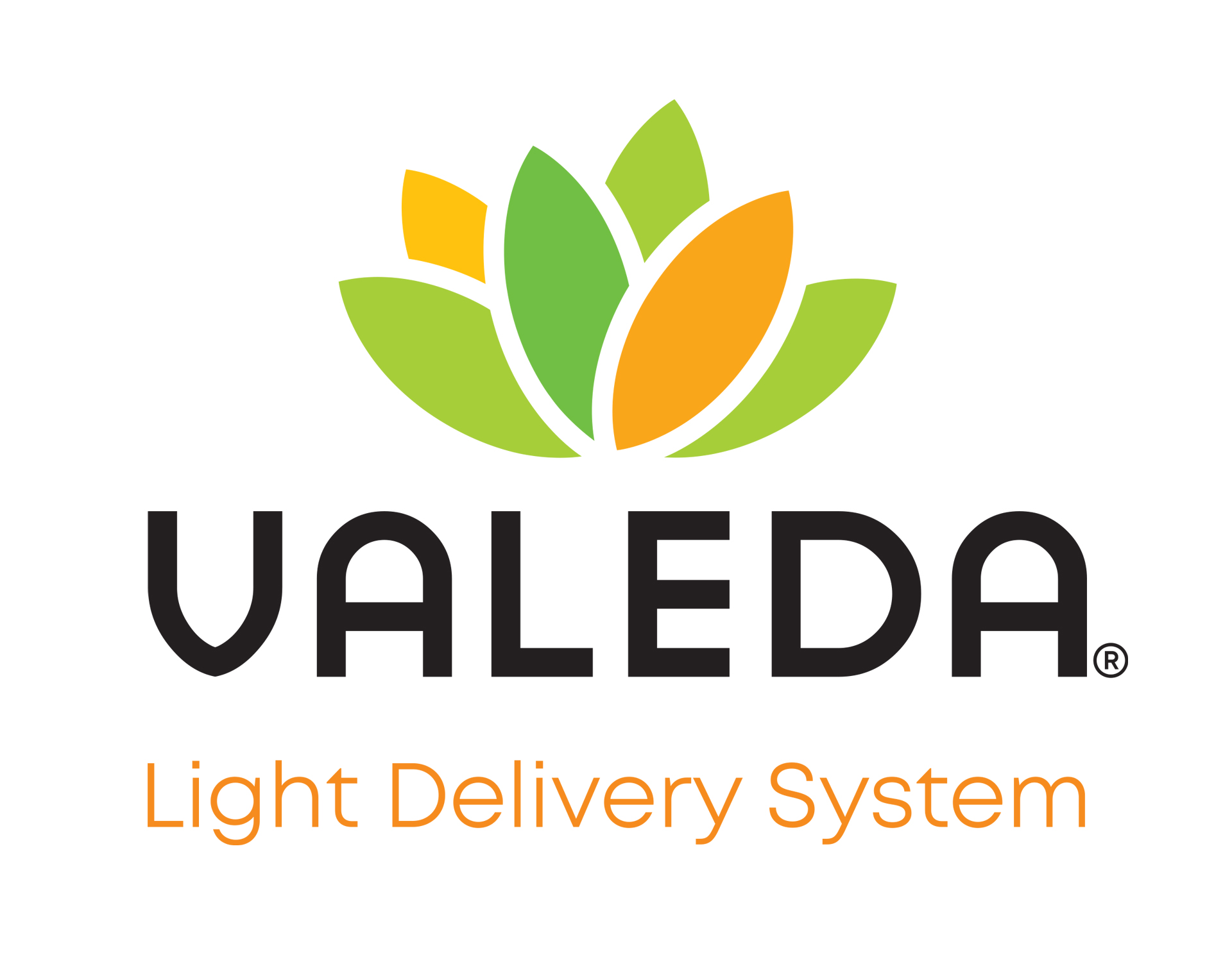 Valeda Logo Full Name_Large